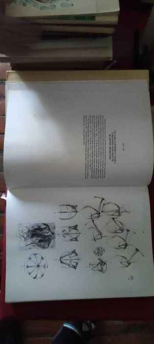 Ёне Барчаи "Анатомия для художников"