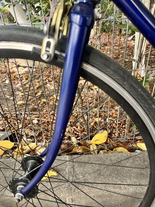 Bicicleta Fixed Gear (Fixie)