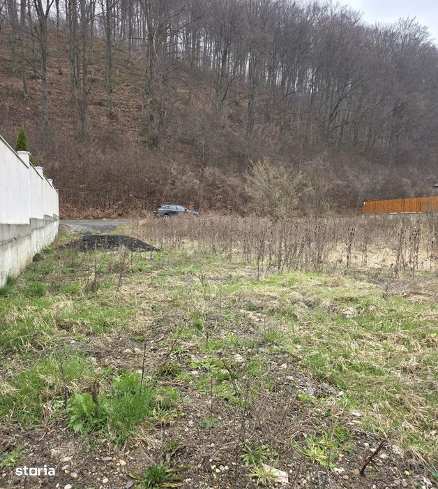 Teren intravilan intre case în Bunloc, lângă pădure – 604 mp