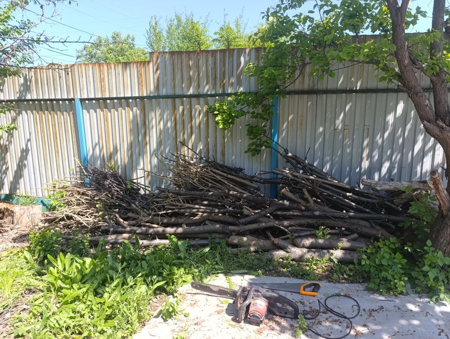 Дрова бесплатно самовывоз