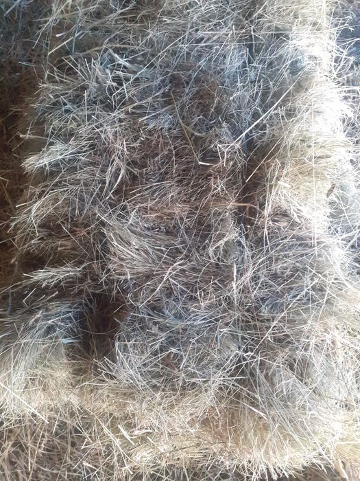 Baloti de fân de vânzare