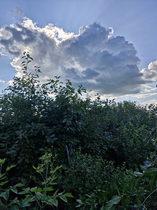 Продам дом от города 27км