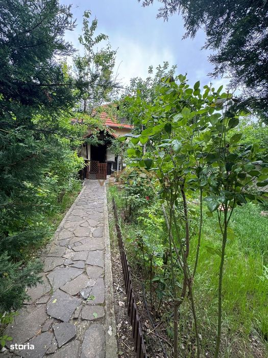 Casa P+M, comuna Berceni