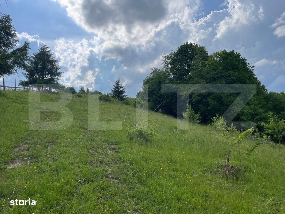 Teren de vanzare, 2 ha - Campulung Moldovenesc, zona Sandru