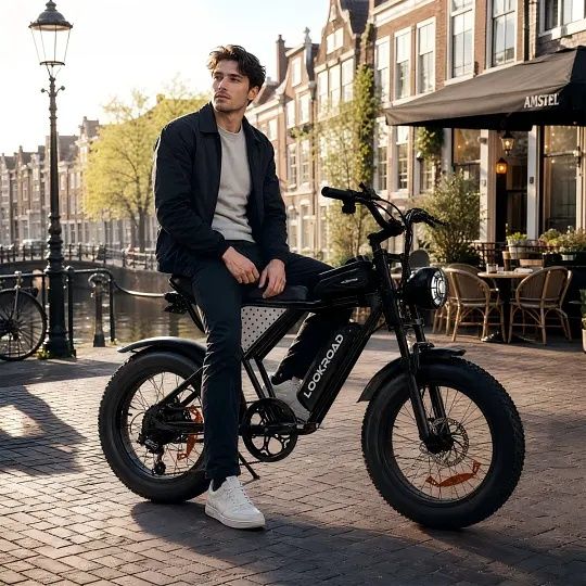 Bicicletă electrică LOOKROAD L20 MIN – 1000W, baterie 48V 15,6Ah