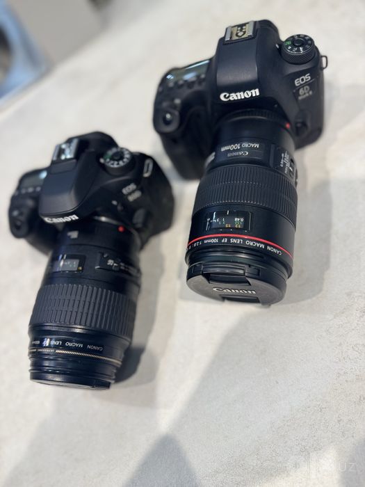 Canon 6D Mark II 100 macro