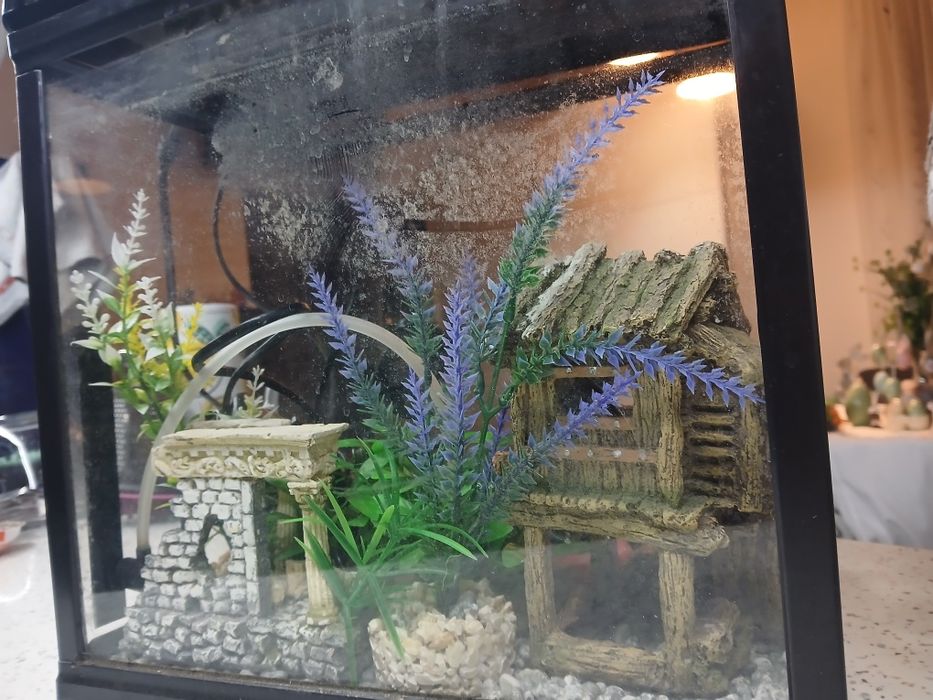 Аквариум 20 литра оборудван