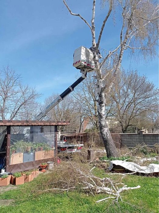 Рязане на опасни дървета и клони. Услуги със самосвал и дробилка .