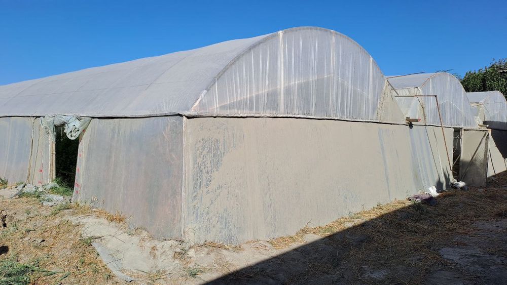 Нотурар ер участкаси