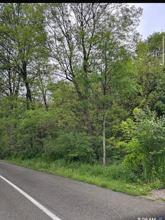 Provita de jos 1.100 mp de liniște