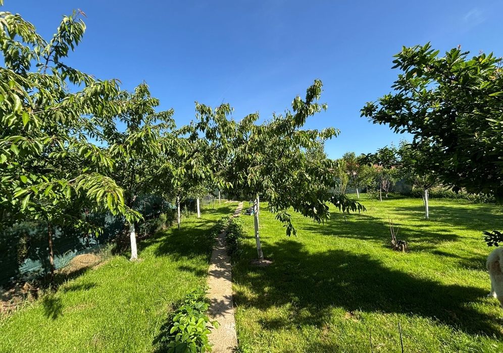 Casă superbă la liziera pădurii