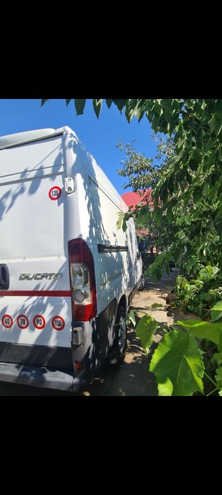 Vand duba fiat ducato