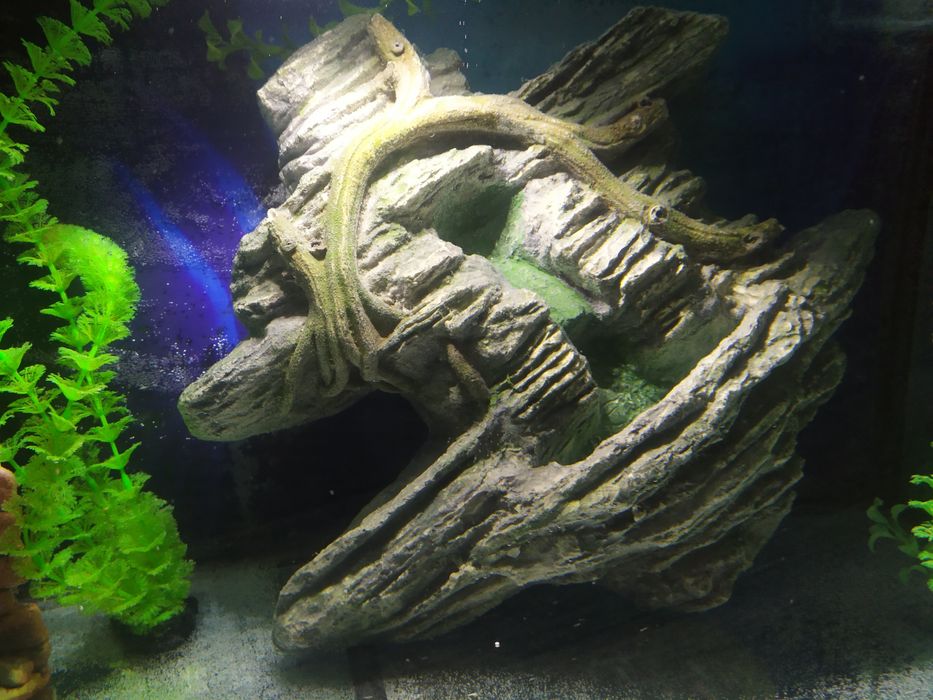 Декор для аквариума. Недорогие аквариумы.