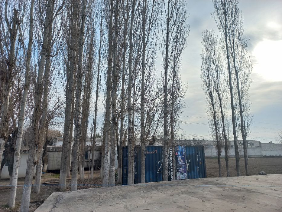 тайёр кантейнер дукон