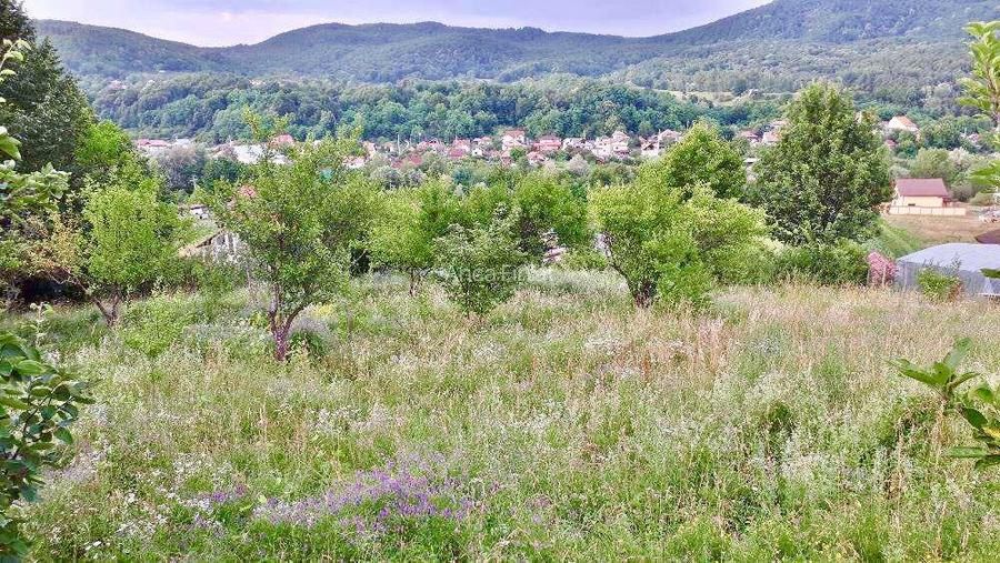 Morilor Teren constructii intravilan 3600mp