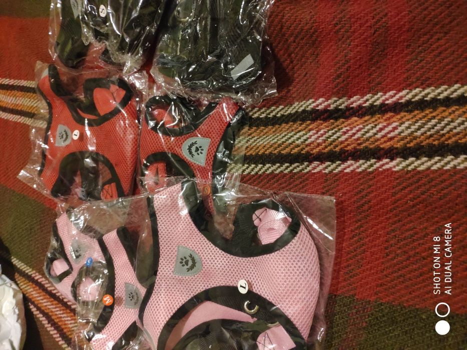 Каишка за малки кучета