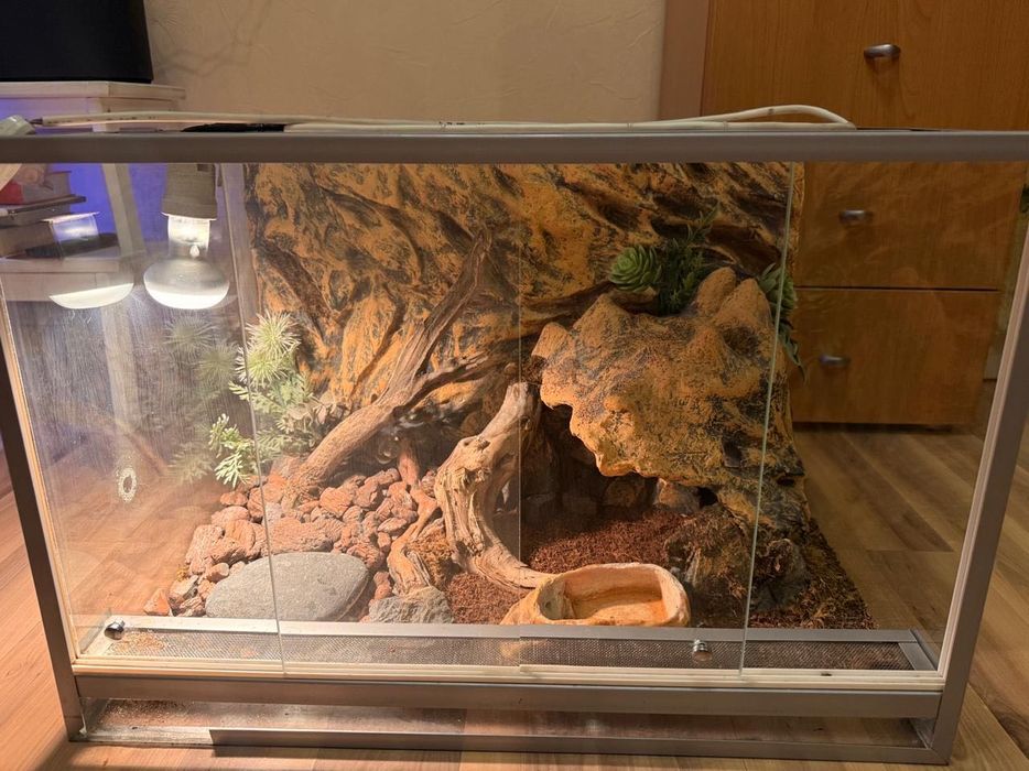 Террариум для рептилии