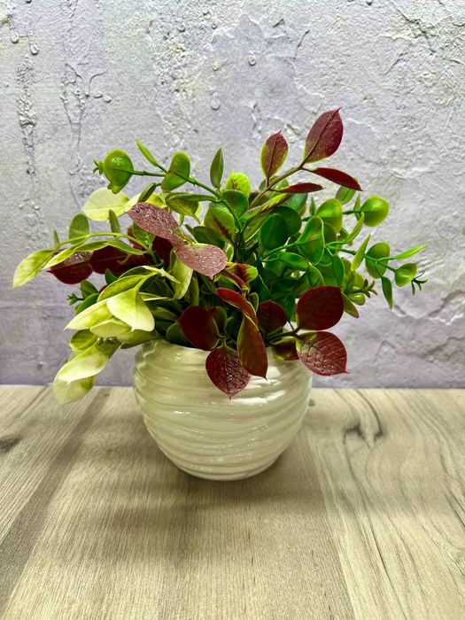 Интерьерные цветы