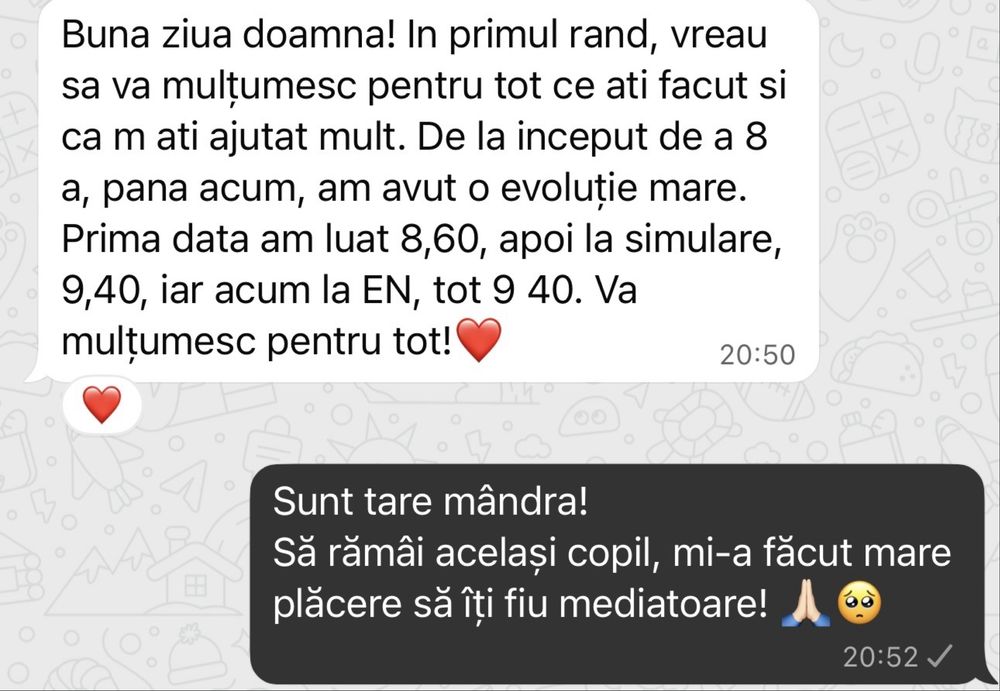 Meditații limba română