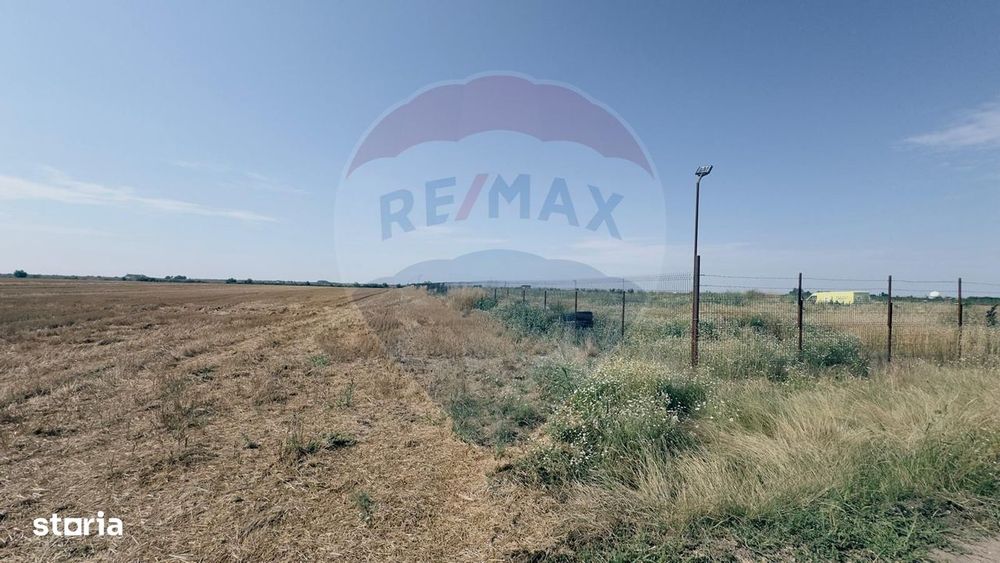 Teren agricol 16.750mp în Cârcea, imprejmuit, cultura capsuni, solarii