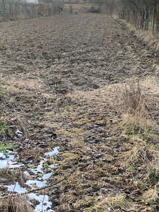 Teren Maracineni Argeselu