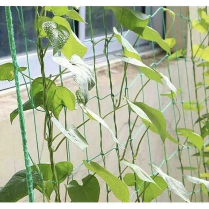 Plasa de Sustinere pentru Plante Cataratoare 2x10 m Castraveti Fasole