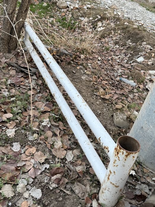 Paravoy truba sotiladi