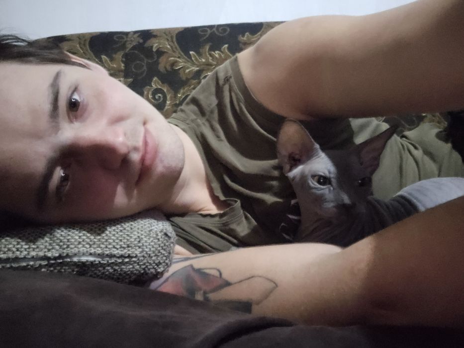 Котята канадского сфинкса