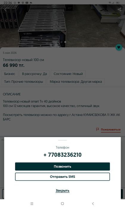 Каштан молодое 2года.