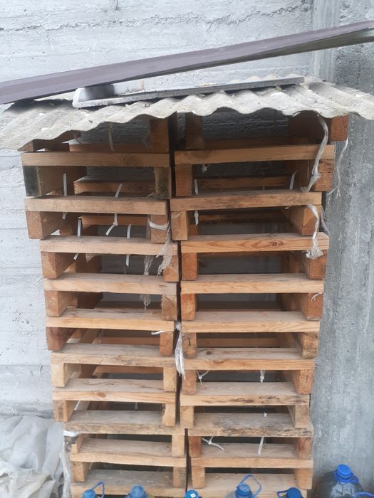 Поддон холати янги.