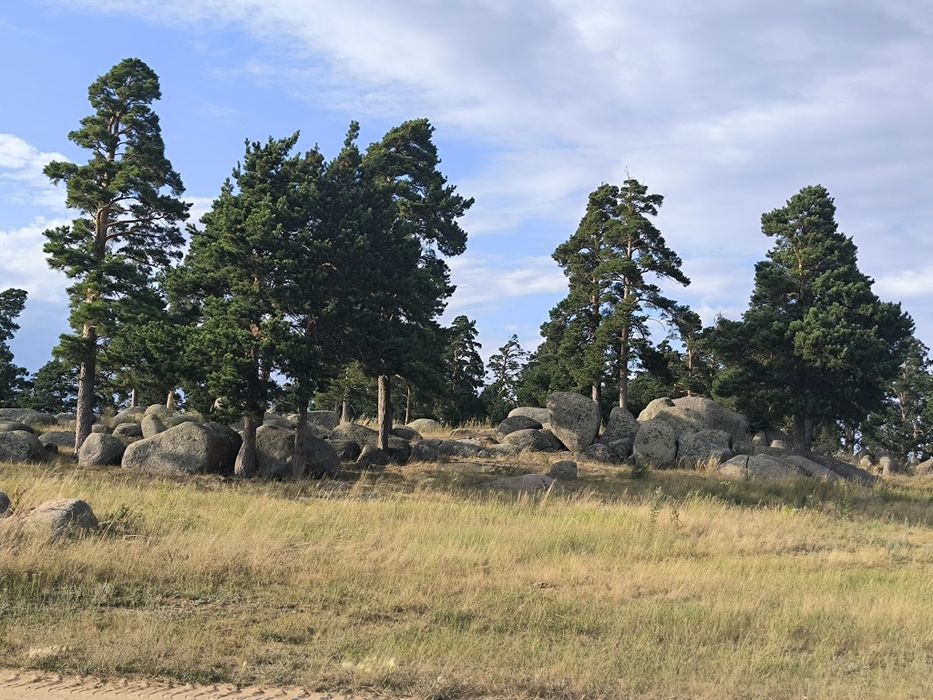 Участок в лесу, Тастыозек