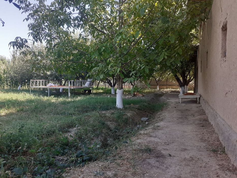 Дала ховли сотилади!!