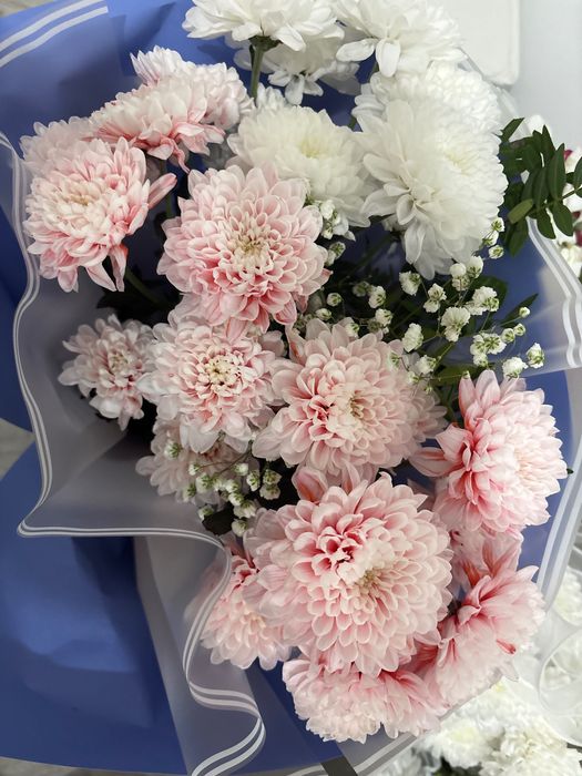 Продам б/у цветы