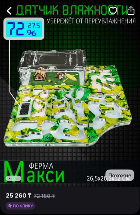 большая муравьиная ферма