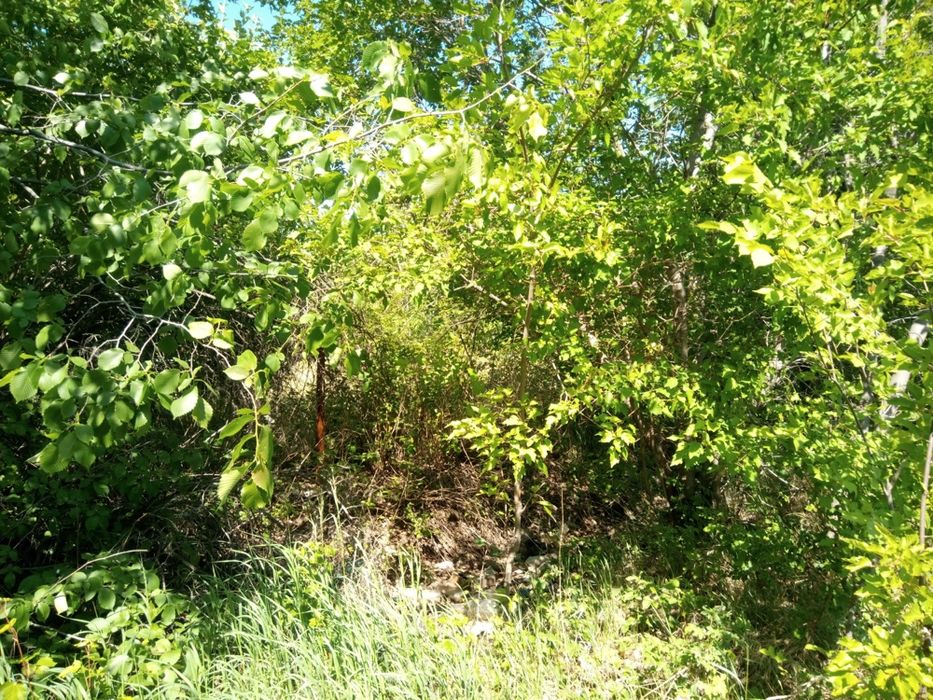 Земельный участок