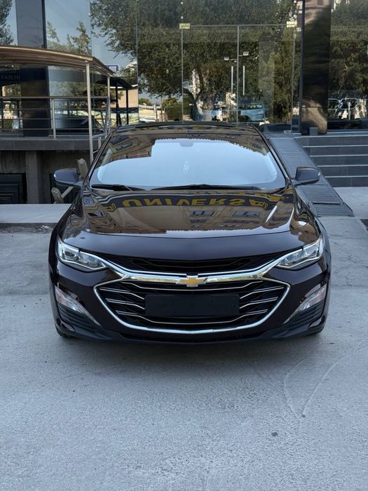 Malibu premier arzon narxda