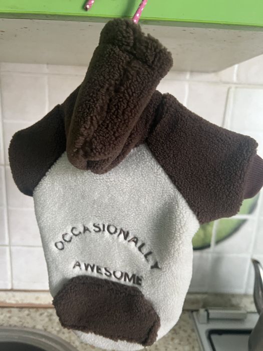 Одежда на маленькую собачку