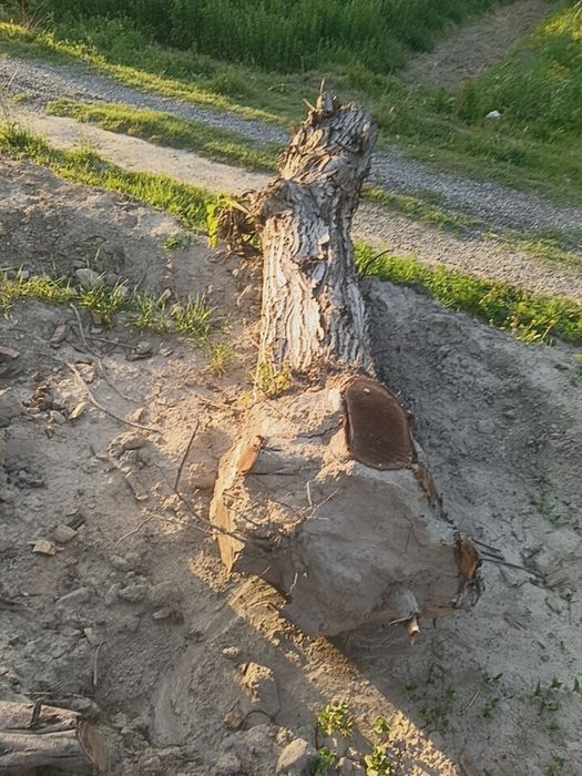 Енгок сотилади карватга