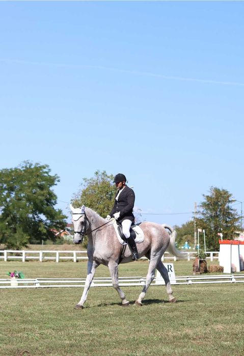 Cal de proba completă, de vanzare