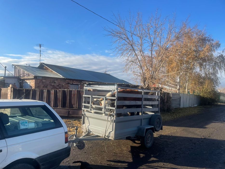 Продам прицеп самодельный