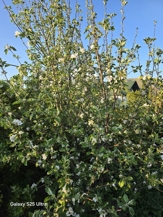 Продажа дом уалханова39