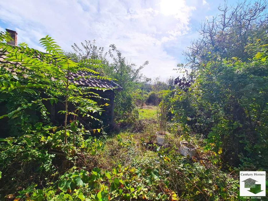 120348 Селски имот с огромен потенциал, Първомайци, Велико Търново