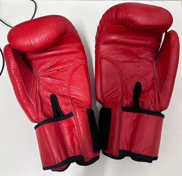 Боксерские перчатки Everlast Professional
