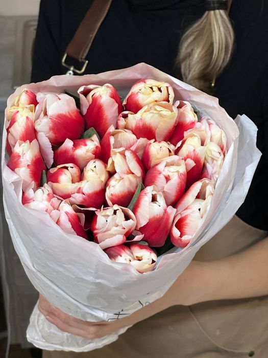 Оптовая Продажа Тюльпанов