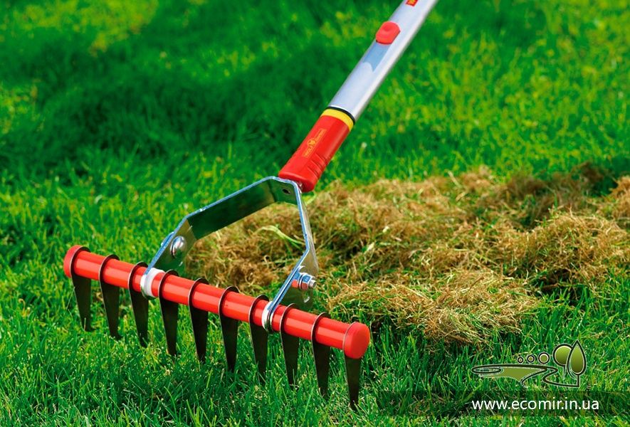 Услуги по стрижке и уход газона