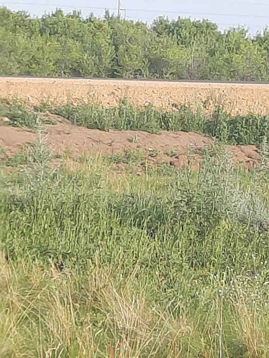 Продам земельный участок под дачу
