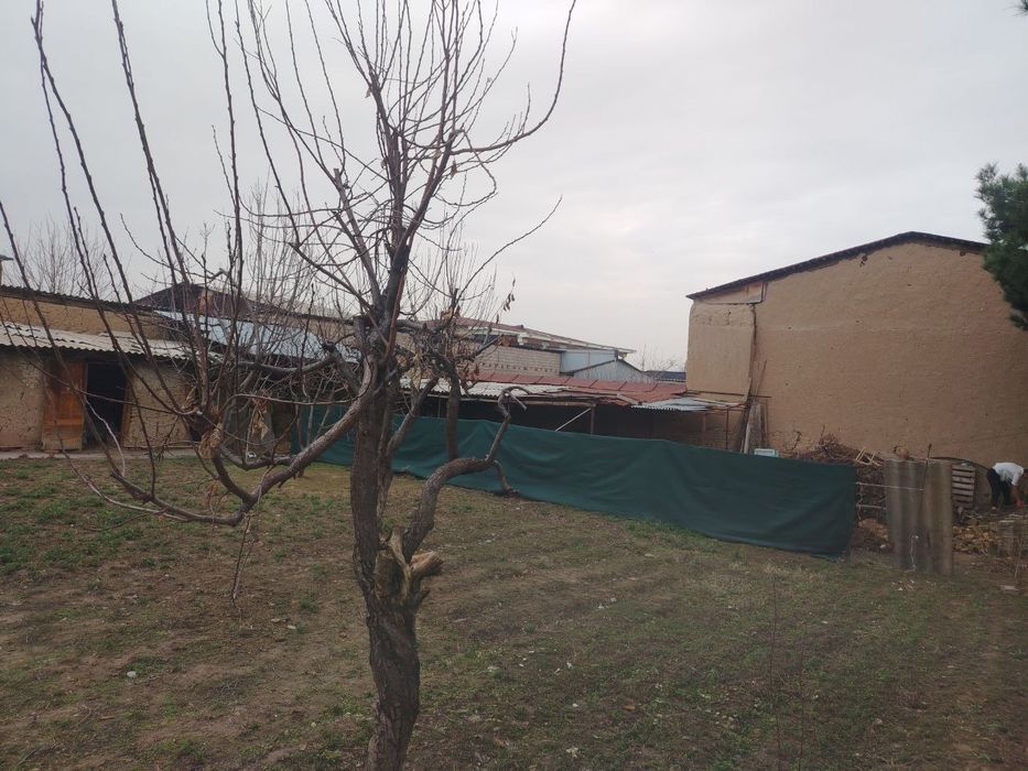 3 сотих  курук ер сотилади