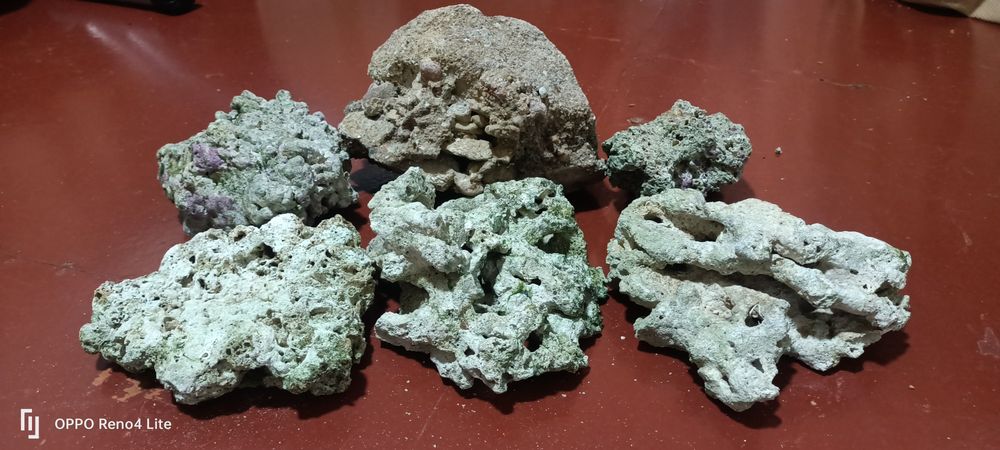 Аквариум продам.