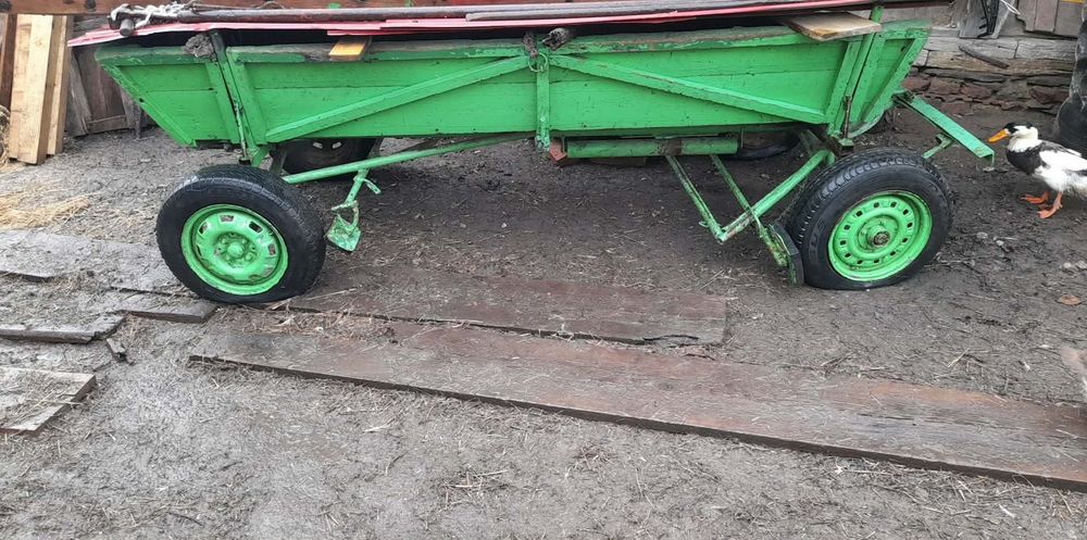 Vând vacii Baltate!