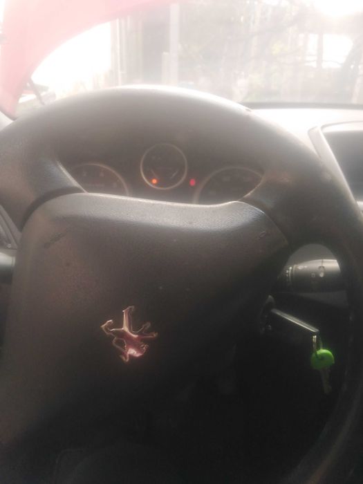 От собственик автомобил Пежо207 газ 3333лв